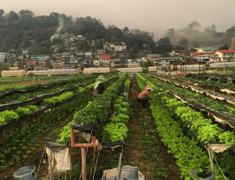 Manila: 3-Day Sagada, Baguio, & Banaue Rice Terraces Tour - Baguio, Burnham Park, and the Strawberry Farm