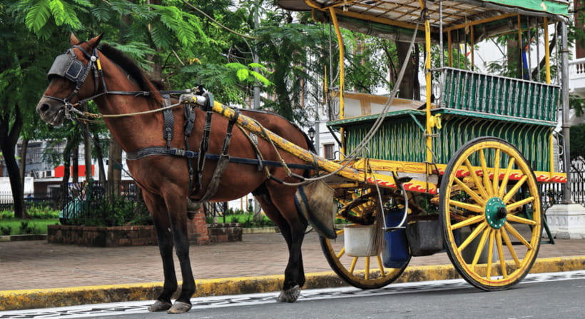 MANILA: HISTORICAL KALESA RIDE TOUR EXPERIENCE IN INTRAMUROS - Why a kalesa fits Intramuros so well