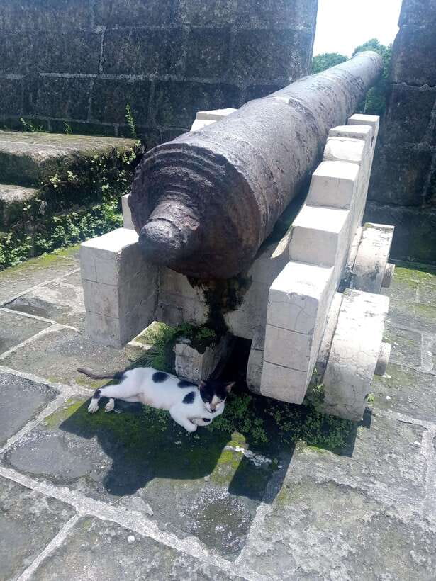 Manila: Intramuros Tour ( Dark) - Key points to know before you book