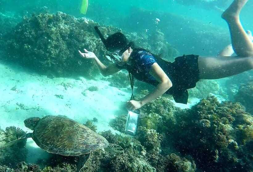 Moalboal: Pescador Island Hopping Adventure and Sardine Run - What the $126 price includes