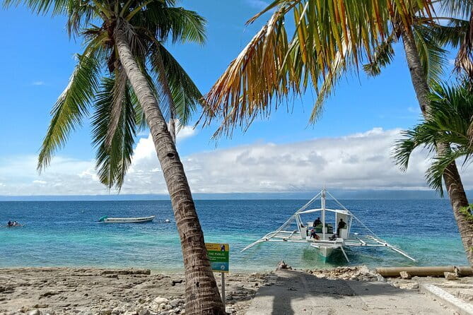 Moalboal Sardine Run, Sea Turtle and Mantayupan Falls - What the $99 price really covers