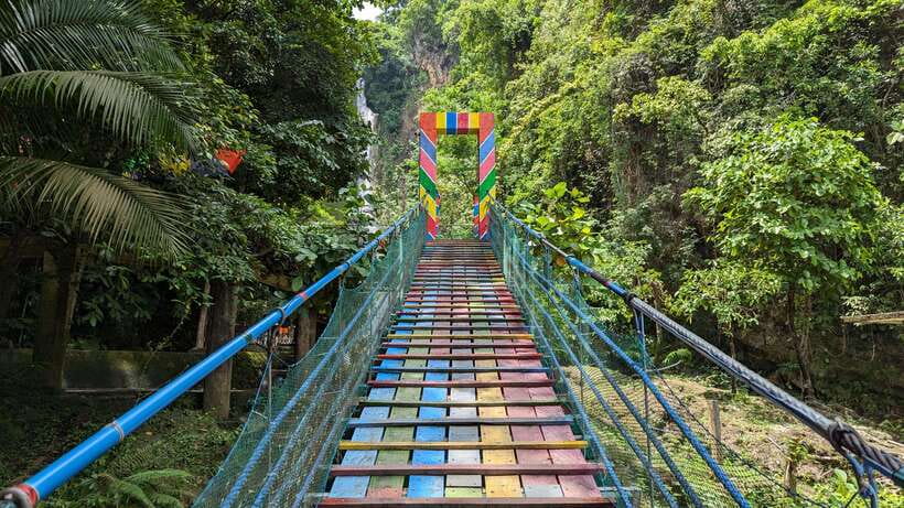 Moalboal Sardine Run, Sea Turtle & Mantayupan Falls - The real prize: Moalboal’s sardine run
