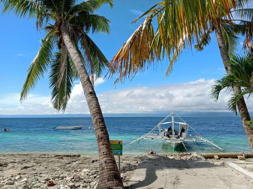 Moalboal Sardine Run, Sea Turtle & Mantayupan Falls - What the $89 price really covers