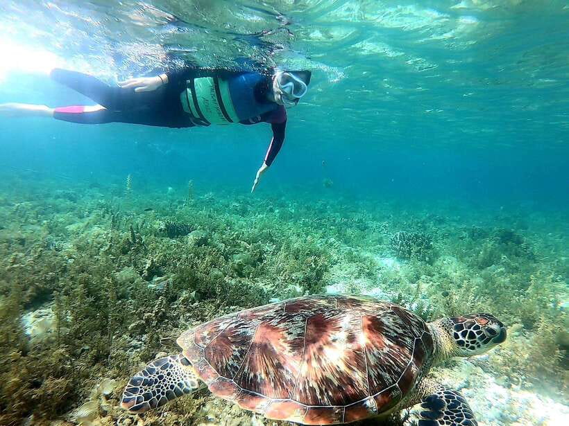 Moalboal: Sardine Run, Turtles and Pescador Island Hopping - Equipment and what you should pack