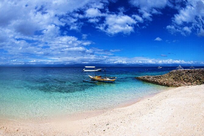 Moalboal Sardines Run Private Tour w/ Transfers Option - Equipment, insurance, and swimming comfort
