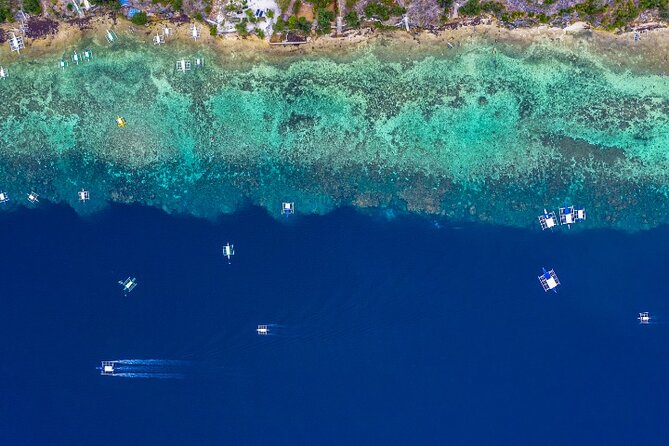 Moalboal Sardines Run Private Tour w/ Transfers Option - Who will enjoy this Moalboal outing