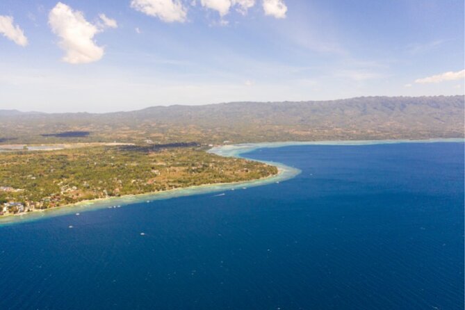 Moalboal Sardines Run Private Tour w/ Transfers Option - Booking, weather, and cancellation details
