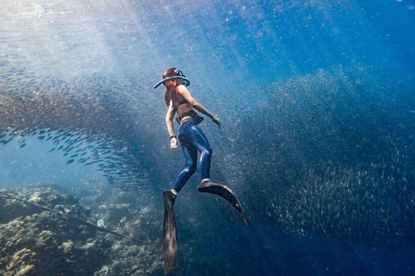 Moalboal: Scuba Diving and Pescador Island Hopping - Pescador Island and the first underwater session