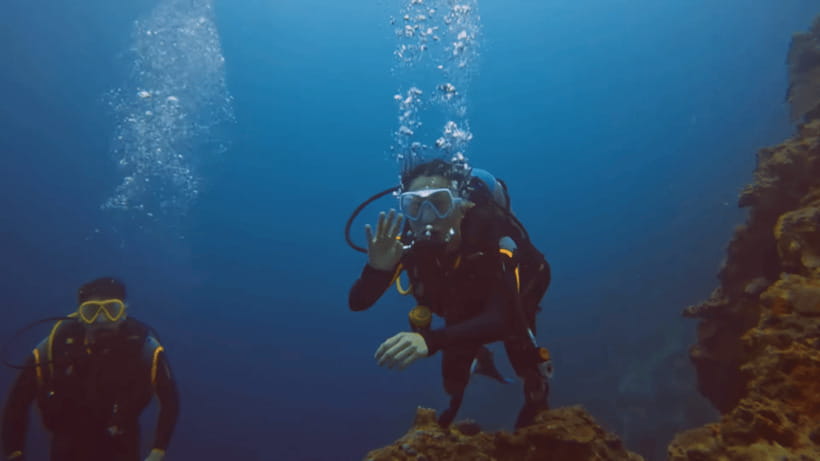 Moalboal: Scuba Diving and Pescador Island Hopping - The sardine run, turtles, and reef life