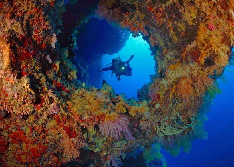 Moalboal: Scuba Diving and Pescador Island Hopping - What the $168 price includes