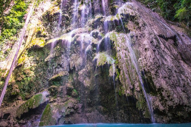 Oslob Whale Shark Private Tour with Sumilon & Tumalog Falls - Six hours on Cebus roads