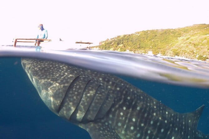 Oslob Whale Shark & Tumalog Waterfalls & Sumilon Sandbar - Tumalog Falls gives you a freshwater reset