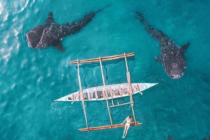 Oslob Whale Shark & Tumalog Waterfalls & Sumilon Sandbar - Two hours around Sumilon Island and its sandbar
