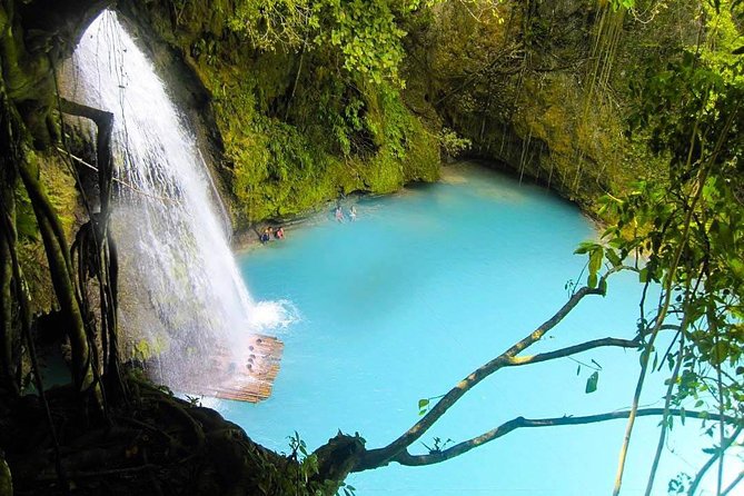 Oslob Whale Shark watching + Canyoneering Adventure Tour - Meeting the Oslob whale sharks