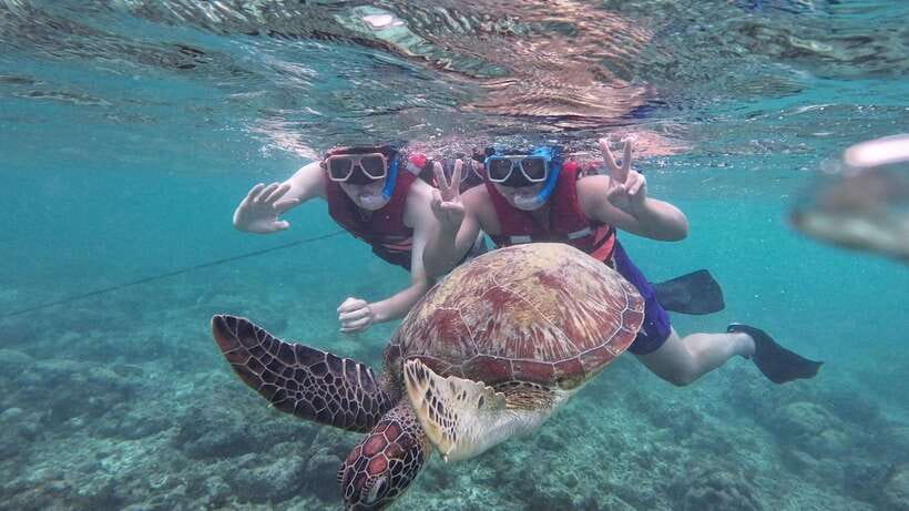 Oslob: Whale Sharks, Inambakan Falls & Moalboal Sardines - Moalboal’s sardine run is the visual high point
