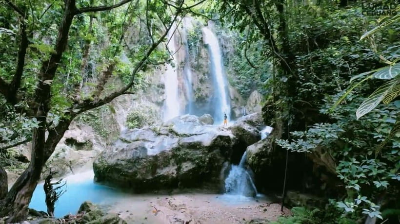 Oslob: Whale Sharks, Inambakan Falls & Moalboal Sardines - Who should book, and who should think twice