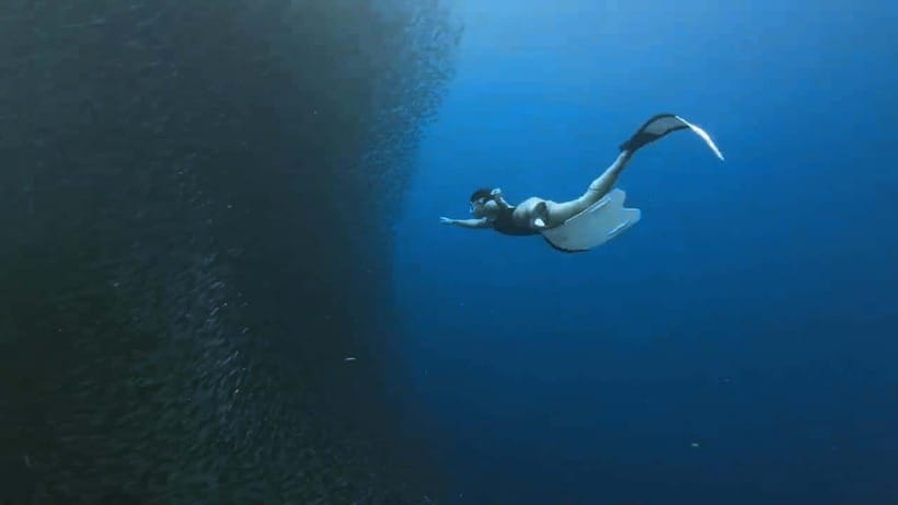 Oslob: Whale Sharks, Inambakan Falls & Moalboal Sardines - What to pack for a smoother day