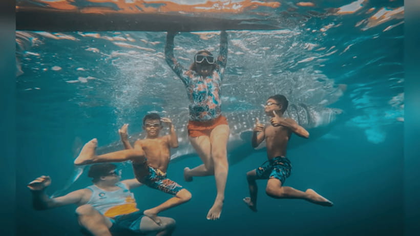 Oslob: Whale Sharks, Tumalog Falls & Sumilon Trio Adventure - Key points to know before booking