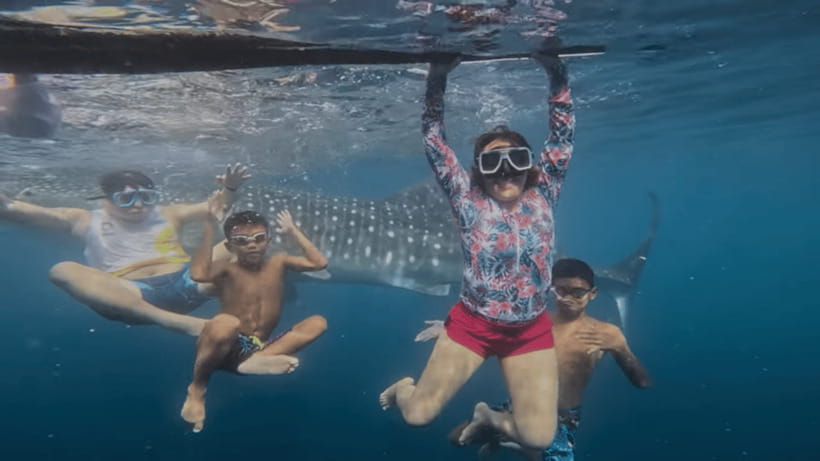 Oslob: Whale Sharks, Tumalog Falls & Sumilon Trio Adventure - A huge sea encounter before breakfast