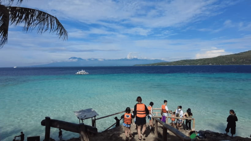 Oslob: Whale Sharks, Tumalog Falls & Sumilon Trio Adventure - The long road from Cebu makes timing important