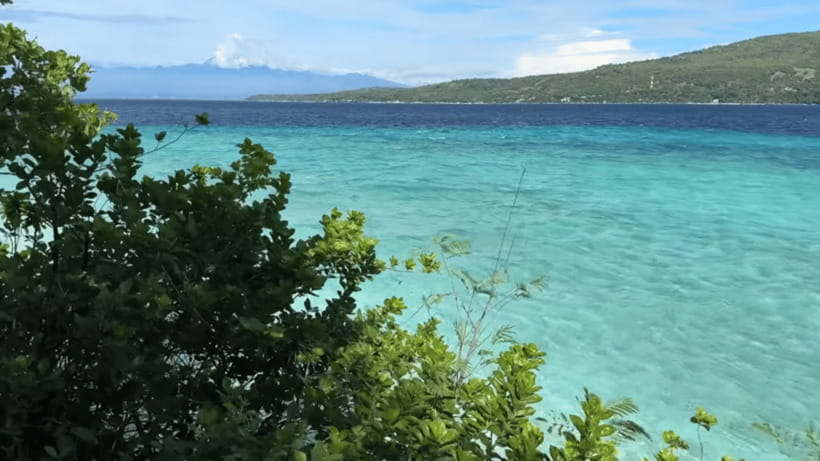 Oslob: Whale Sharks, Tumalog Falls & Sumilon Trio Adventure - Who will enjoy this packed Cebu day