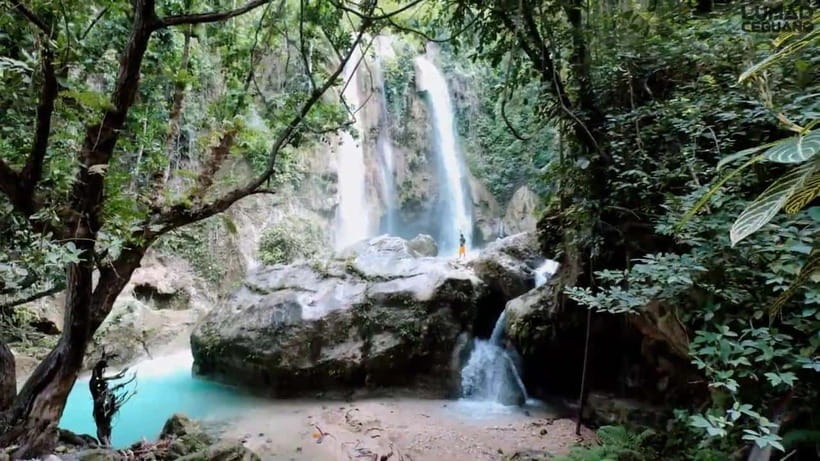 Oslob: Whaleshark Swimming, Inambakan Falls & Moalboal Tour - How the $90 price works out