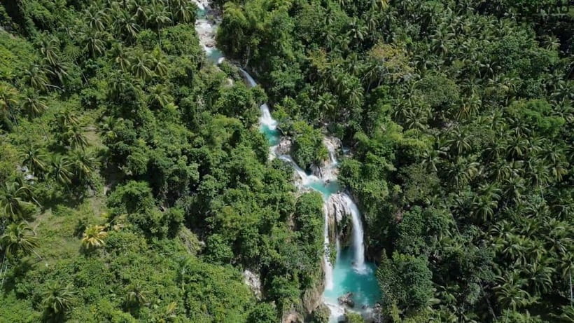 Oslob: Whaleshark Swimming, Inambakan Falls & Moalboal Tour - Should you book it?