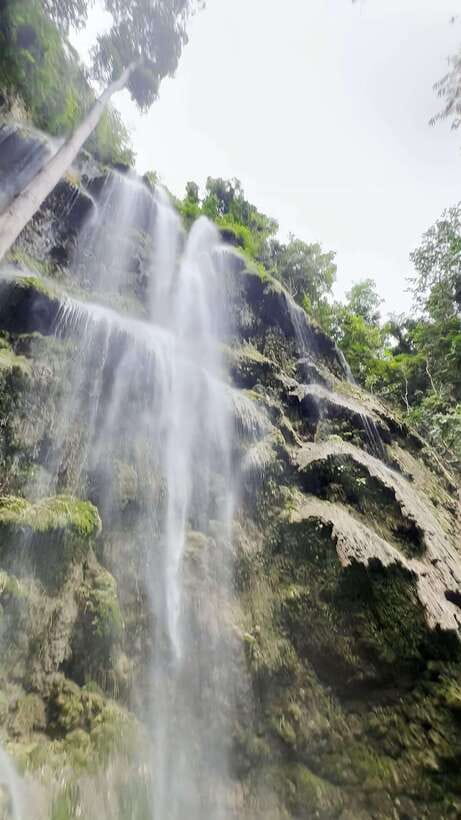 Oslob: Whaleshark Swimming, Tumalog Falls & Sumilon Island - Managing delays and communication