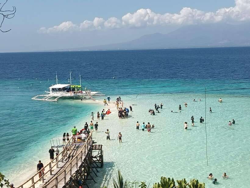 Oslob: Whaleshark Watching, Sumilon Island & Monkey Viewing - Key points to know before you book
