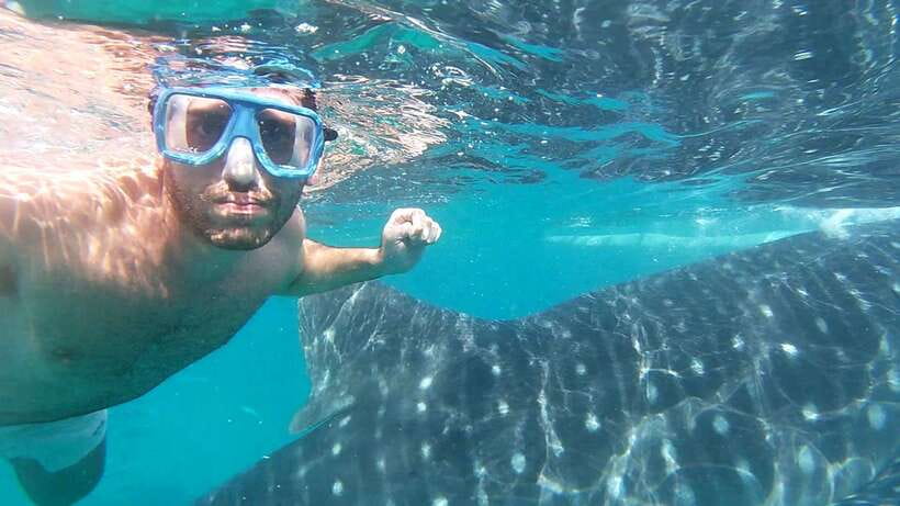 Oslob: Whaleshark Watching, Sumilon Island & Monkey Viewing - What the $81 price includes, and what it does not