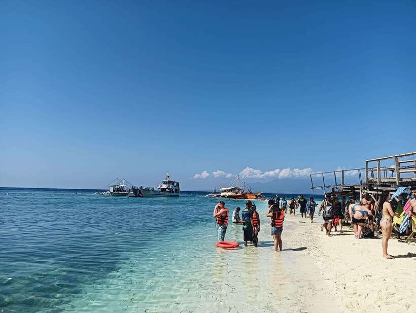 Oslob: Whaleshark Watching, Sumilon Island & Monkey Viewing - Breakfast and lunch: plan for your own budget