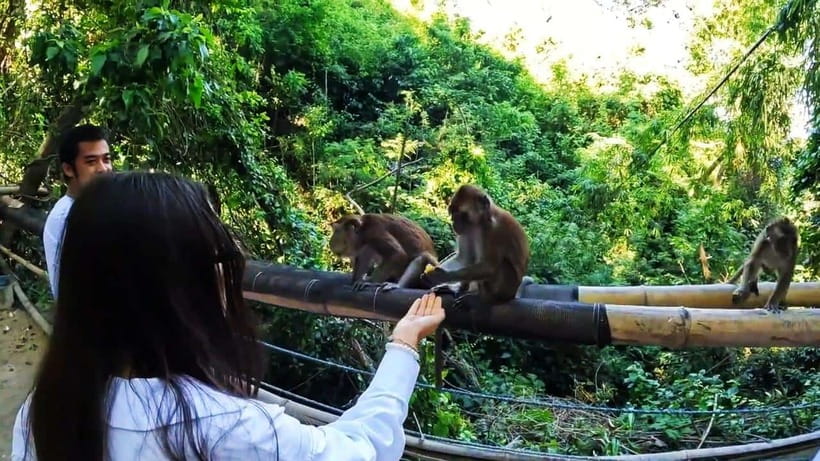 Oslob: Whaleshark Watching, Sumilon Island & Monkey Viewing - Tumalog Falls adds a cool-water break