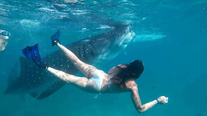 Oslob: Whaleshark Watching, Tumalog Falls & Sumilon Island - Food, breaks, and the pace of the day
