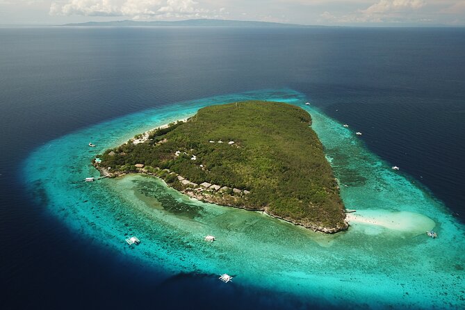 Oslob Whaleshark with Sumilon Island - Booking, changes, and useful preparation