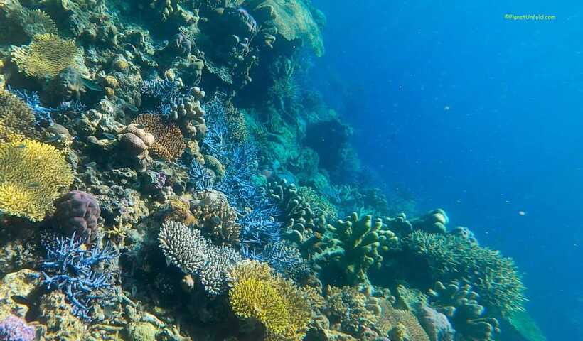 Palawan: Coron Island Super Ultimate Private Tour - Coron Youth Club Beach for a small-island break