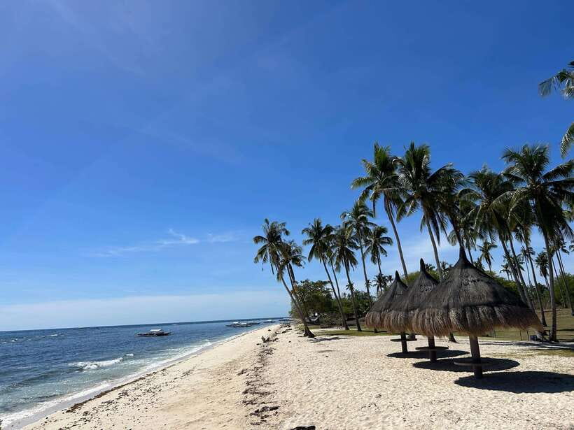 Pamilacan island: Dolphins, snorkel, lunch and walking tour - A simple Boholano lunch by the shore