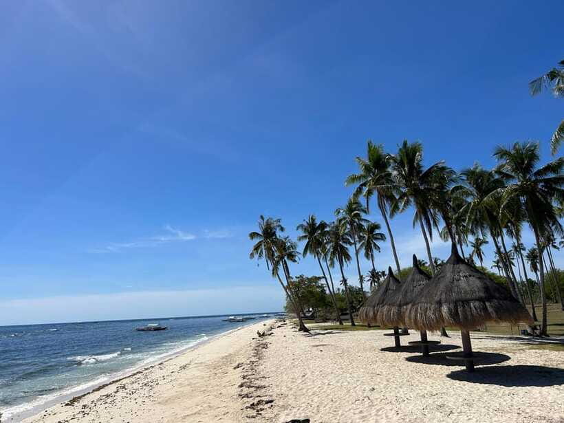 Pamilacan island: Dolphins, snorkel, lunch and walking tour - Returning to Panglao after a full island day
