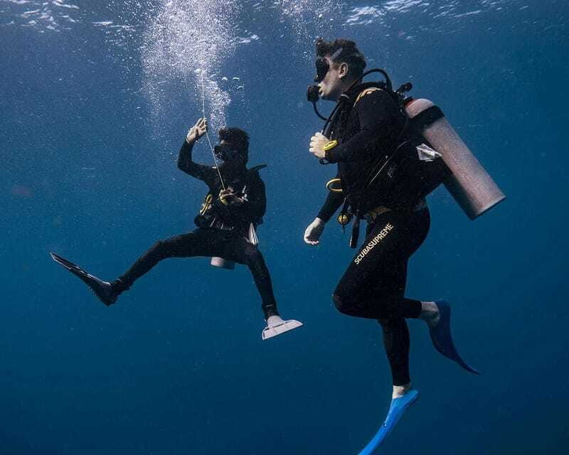 Panglao Bohol: Try Scuba Diving at Napaling and Sardines - Should you book the Napaling Reef tour?