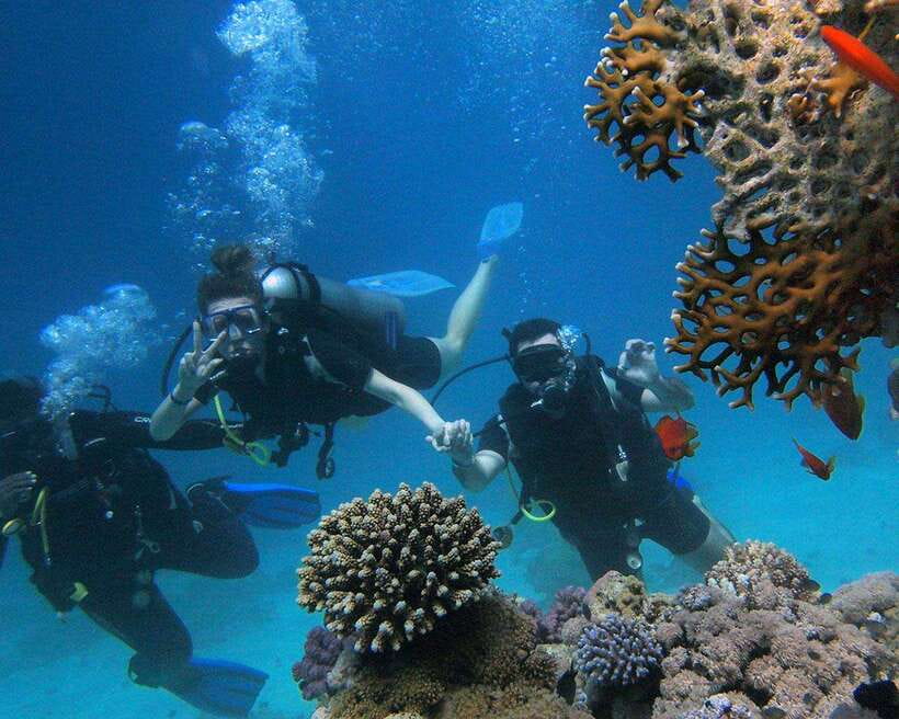 Panglao Bohol: Try Scuba Diving at Napaling and Sardines - Starting at Napaling Adventure Center