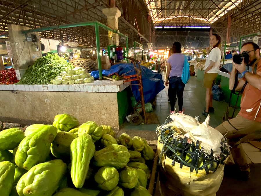 Panglao: Dao, Forests, and Tarsier Sanctuary Tour with Lunch - A jungle waterfall to finish the day