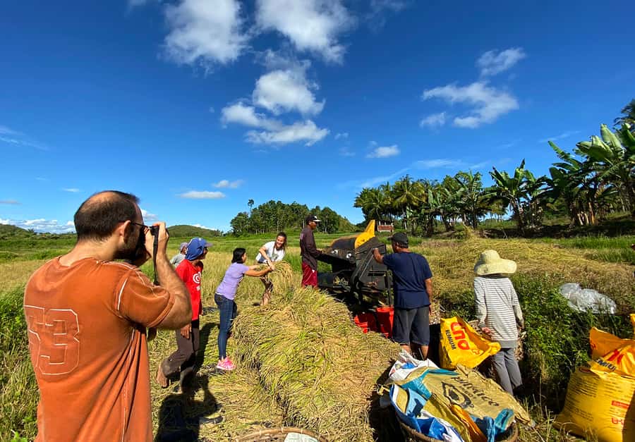 Panglao: Dao, Forests, and Tarsier Sanctuary Tour with Lunch - Dao market: a short look at daily trade