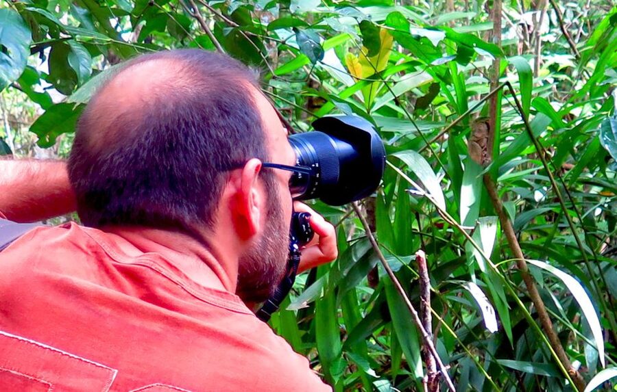 Panglao: Dao, Forests, and Tarsier Sanctuary Tour with Lunch - Chocolate Hills from above