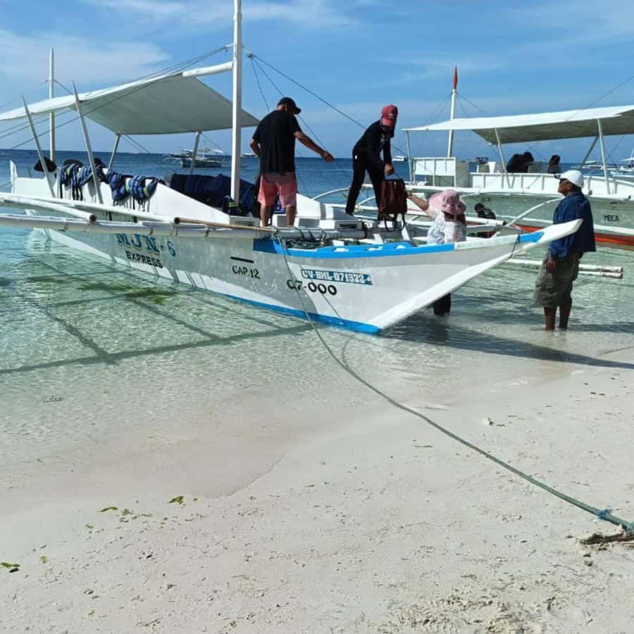 Panglao: Island Hopping w/Balicasag (Shared) - Watching for dolphins near Panglao