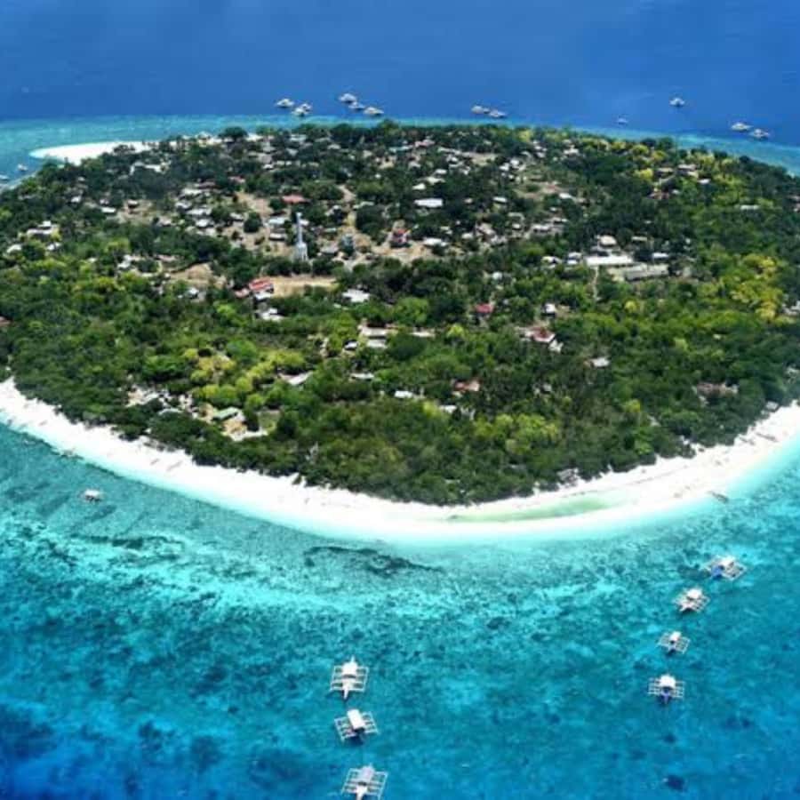 Panglao: Island Hopping w/Balicasag (Shared) - The strongest part of the experience