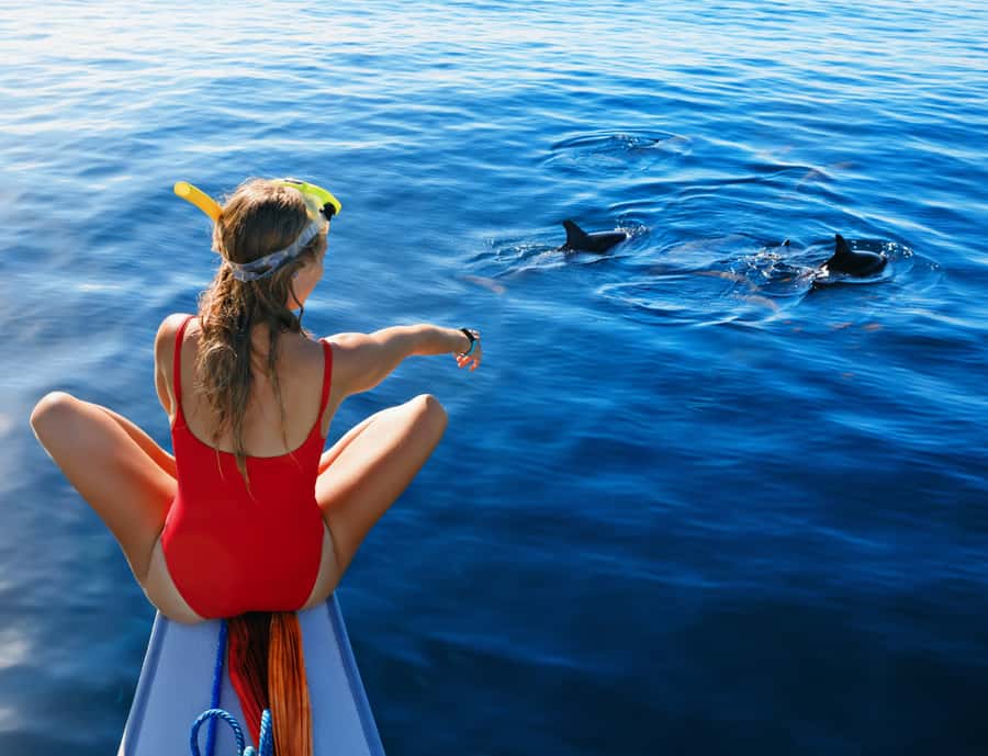 Panglao: Island Hopping w/Balicasag (Shared) - Who will enjoy this Panglao trip