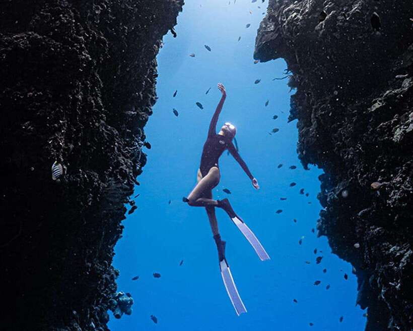 Panglao: Napaling Reef and Sardines Freediving Experience - Key points to know before you book