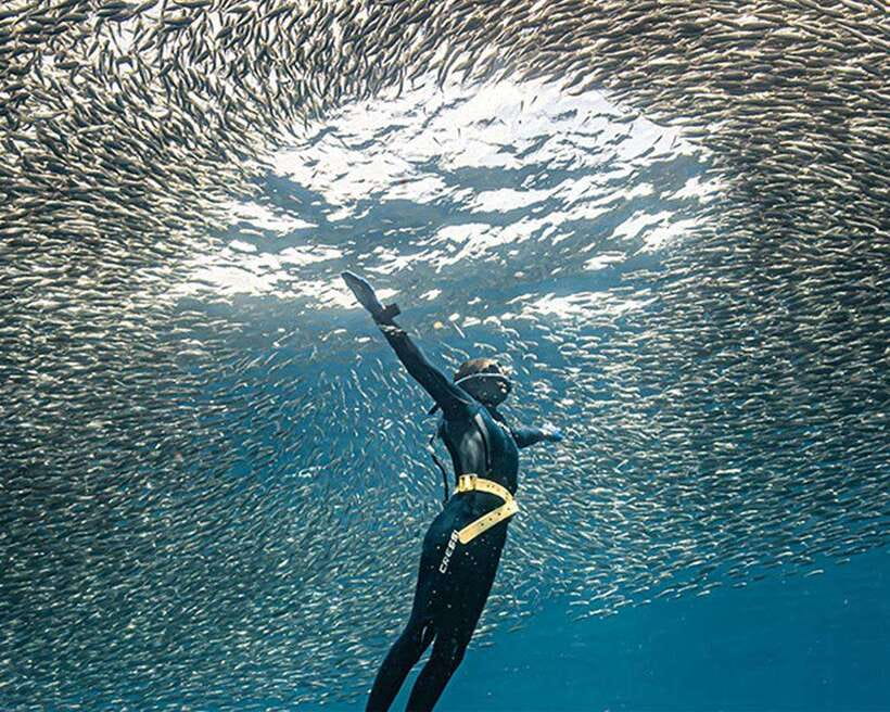 Panglao: Napaling Reef and Sardines Freediving Experience - The five-minute scooter ride to Napaling Reef