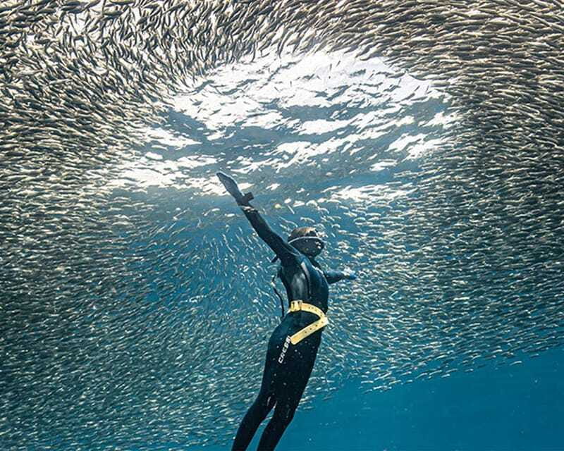 Panglao: Napaling Reef and Sardines Freediving Experience - Should you book Napaling Reef?