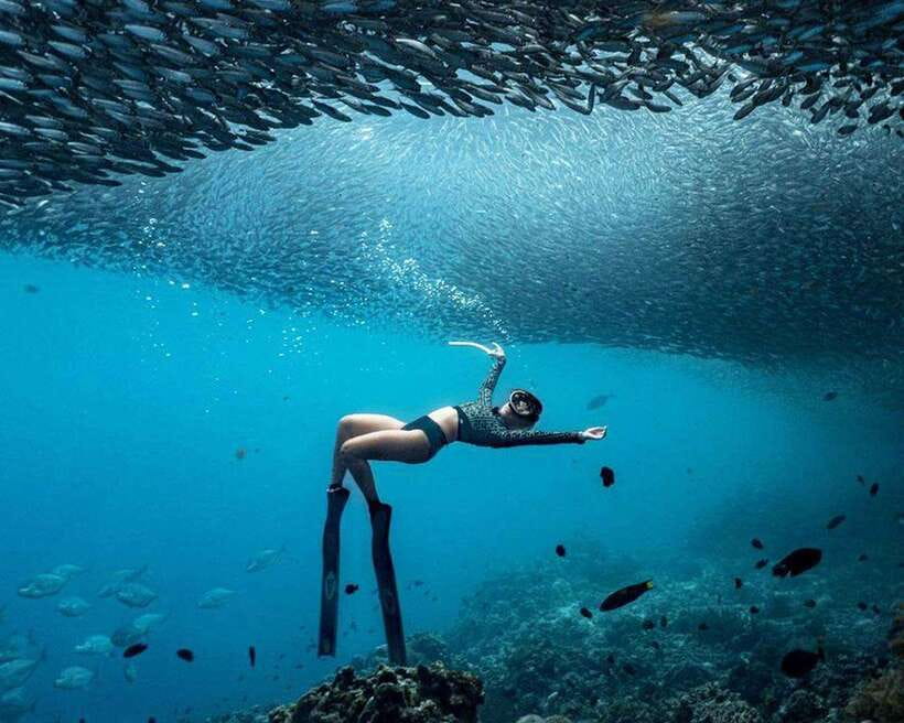 Panglao: Napaling Reef and Sardines Freediving Experience - Starting at Freedive Academy Panglao