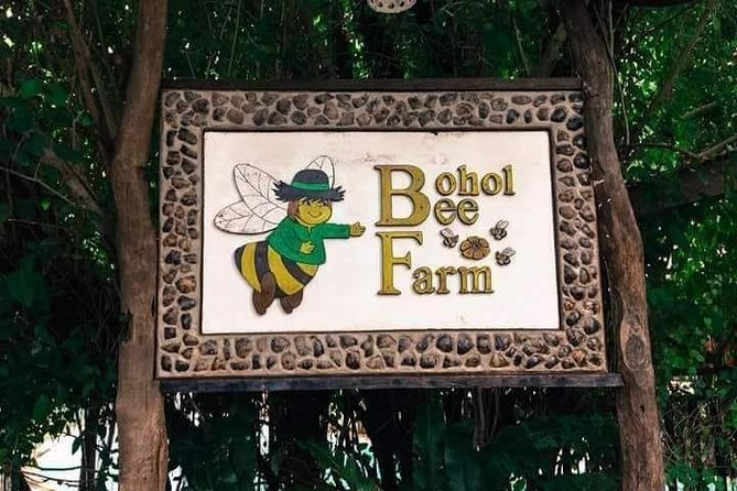 Panglao's Best Hinagdanan Cave, Bee Farm, Mirror of the World - Sikatuna’s Mirror of the World is made for photographs
